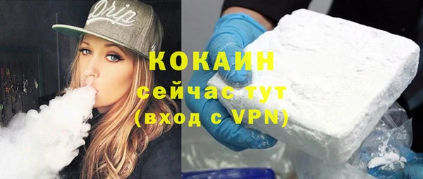 шишки Магас