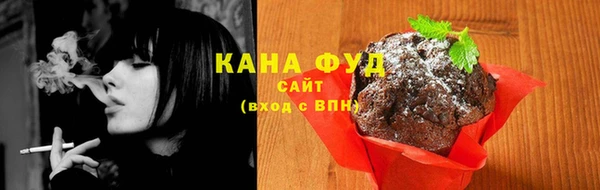 шишки Магас