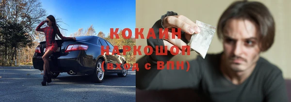 шишки Магас