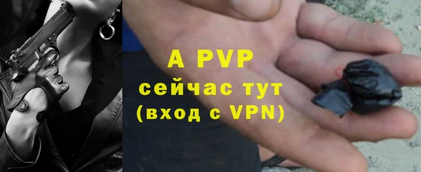 шишки Магас