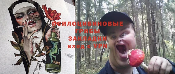 шишки Магас