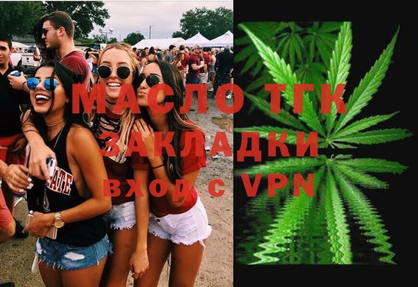 шишки Магас