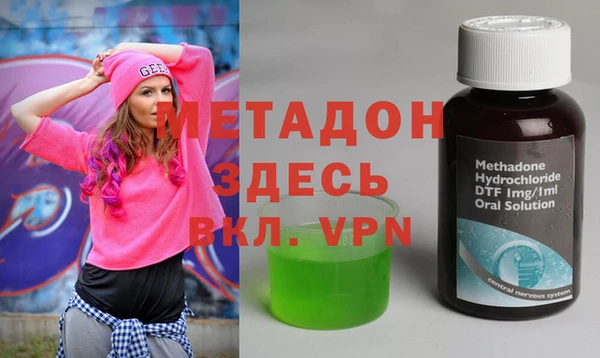 шишки Магас