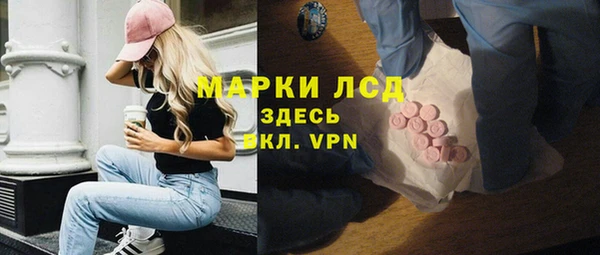 шишки Магас