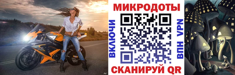 Купить закладки Ростов Псилоцибиновые грибы Cubensis